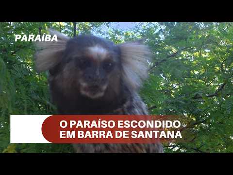 Rio do Feijão - O paraíso escondido em Barra de Santana - PB