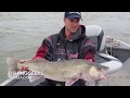 Video Thumbnail for 12lb Walleye from the South Saskatchewan river.