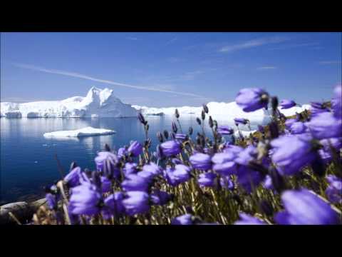 Sergey Shabanov - Impact (Timo Pralle Remix) [HD]