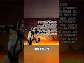 The Story Of Khameleon Mortal Kombat S Mysterious N64 Exclusive