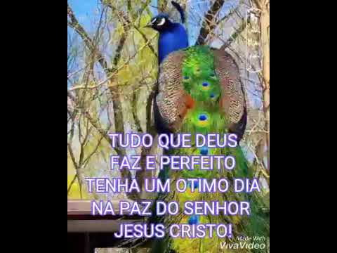 12 de fevereiro de 2020