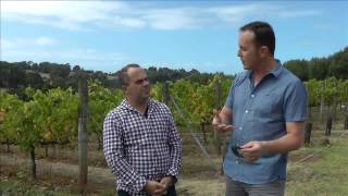 preview picture of video 'Mornington Peninsula & Tuck's Ridge winery'