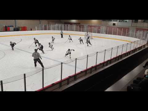 D2 AA/JYP Valkoinen- Jyki leijonat(2.erä- osa 3.erää) /7.12.2019 / Tikkakoski