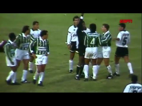 Palmeiras 4 x 0 e o fim da fila de 16 anos sem títulos - 1993