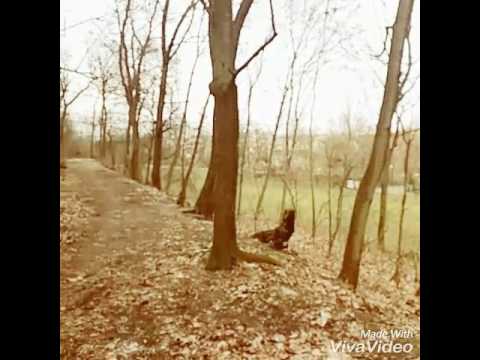 Stefan todorov sevmediğini bile bile ❤❤