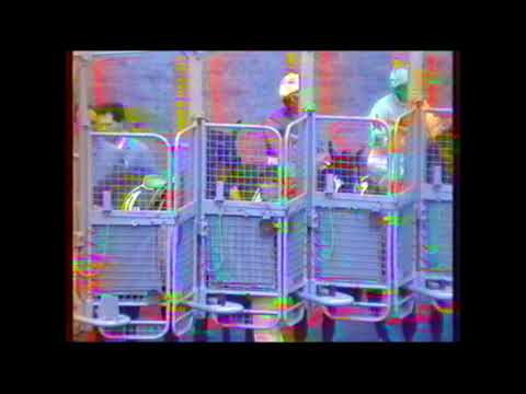 Star of the Realm - Victoria Derby 1991