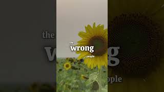 Download lagu Don't Invest Yourself In The Wrong People mp3 Download lagu Don't Invest Yourself In The Wrong People mp3