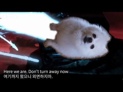 【LOL】 Warriors - Imagine Doggos (워리어즈 강아지 리믹스)