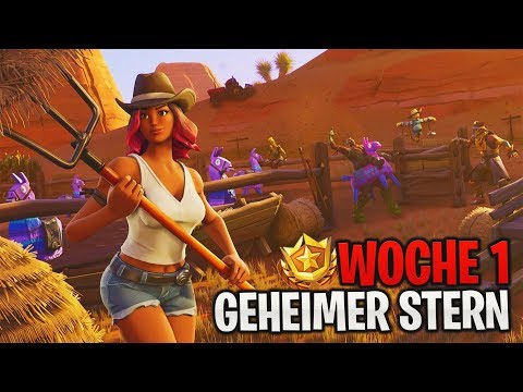 Geheimer BONUS STERN Woche 1 ⭐ (1 Battle Pass Level) | Season 6 Herausforderung | Fortnite | Detu