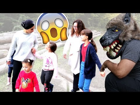 BALLADE EN FAMILLE DANS LA FORET! Un LOUP attaque ALICYA et MASSILYA (scénario)