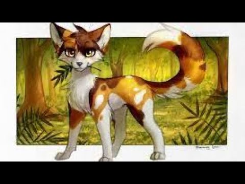 All Of Firestars Nine Lives