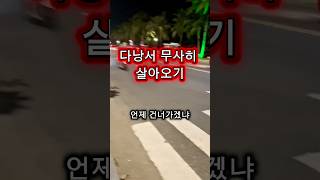 50대 아줌마 다낭서 살아오기#다낭#베트남#50대60대추천