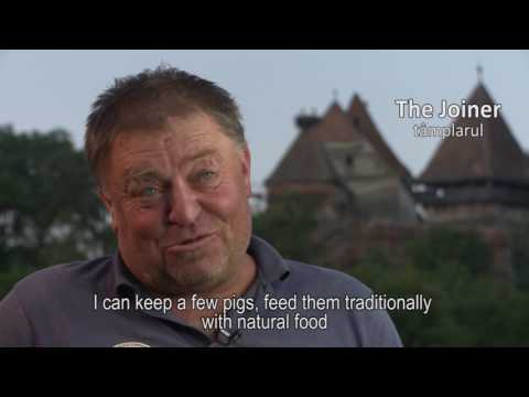 „Undeva, cândva în Transilvania”