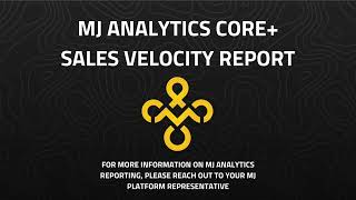MJ Platform Analytics | Sales Velocity Report