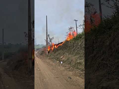 Queimada em Mutuípe
