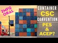 CSC Convention Plate Of Container Inspection Details Of Container Function 2 2mfg Oral