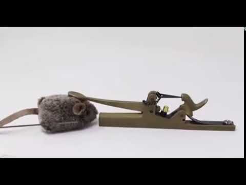 1862 mouse trap  they were smokin tf out these mice