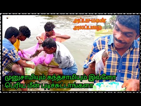 முனுசாமிக்கு மட்டும் ஸ்பெஷல் மீன் அப்பா மகன் அலப்பறை | Pana Matta