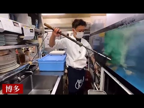 [Sushi en Hakata] ¡Increíble! ¡El pescado fresco de alta calidad se vende como loco! Si vienes a Hakata, ¡definitivamente ven aquí! ! "Manyobako" cabeza plana, filete, pulpo Japón / Delicioso restaurante de pescado fresco y sushi