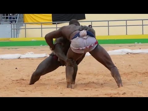 Intégralité combat Mathieu Wally vs Albarka Kaïré