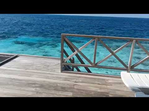 Maldives 2022 February ar Lux Resort CocoGiri