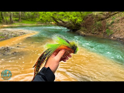 3 Days Fly Fishing Creeks and Rivers for MUSKY!! (The Musky Hunt Ep. 5)