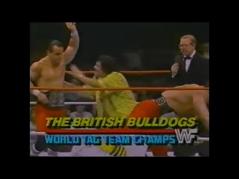 British Bulldogs vs Moondog Rex & Paul Christy   All Star Wrestling June 8th, 1986