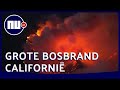 Bosbrand grijpt om zich heen: 7.800 Amerikanen geëvacueerd | NU.nl