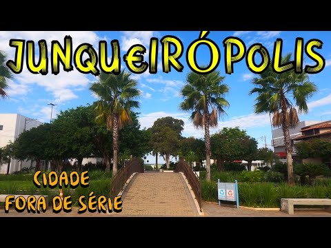 JUNQUEIRÓPOLIS - SP , Surpreendente cidade , Bosque , Comércio , O que fazer no município