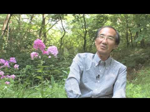 海野和男の新昆虫教室、第7回「擬態第3回」