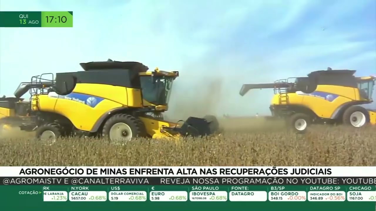 Agronegócio de Minas enfrenta alta nas recuperações judiciais