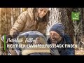 So findest du den richtigen Lammfell-Fußsack