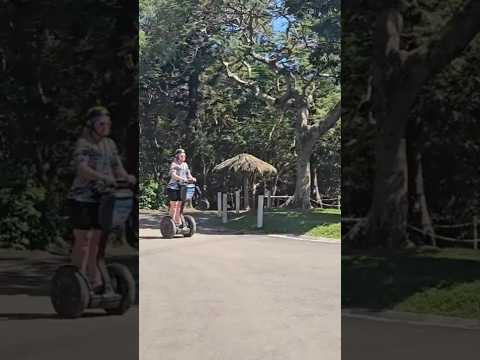 Thumbnail for Nouméa Segway Adventure.  From Paths to Dirt Tracks #4x4adventure #cruisetour #gonegeckonz #segways