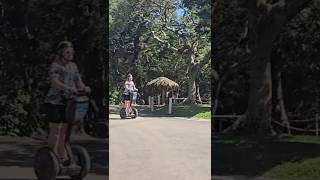 Nouméa Segway Adventure.  From Paths to Dirt Tracks #4x4adventure #cruisetour #gonegeckonz #segways