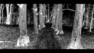 iSHi ”Push It” Remix ft Tinie Tempah, Pusha T & Mikael Persbrandt.