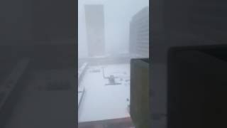 Crazy Blizzard in Halifax