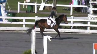 North Winds Opus at St Christopher's Benefit Horse Show 2013 Pony Jumper Sunday 1st trip