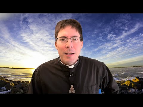 NOT IN HELL🔥Mystics Reveal Light at Moment of Death - Fr. Mark Goring, CC