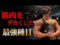 私が今までで一番やり込んで効果があった種目を教えます【胸・背中】