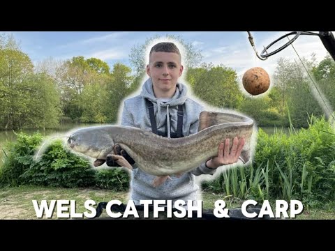 Orchard place fish farm - carp and catfish