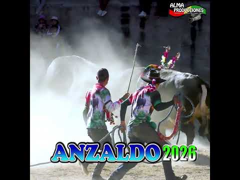 Toro Tinku de ANZALDO 2026 T7A "Thalu-Walaycho".#shortsviral  #almaproduccionesbolivia #toros