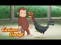 George and the Farm Animals 🐵 Curious George 🐵 Kids Cartoon 🐵 Kids Movies