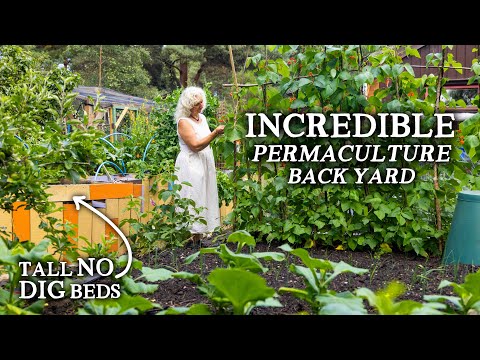 Amazing Tiny Vegetable Garden with Year-Round Abundance! | A Mini Permaculture Oasis