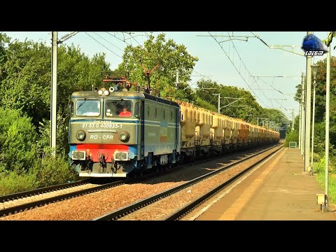 LE5100KW 40-0835-1 & Marfar CFR MARFĂ Slatina-Tulcea Freight Train in Brănești - 02 September 2020