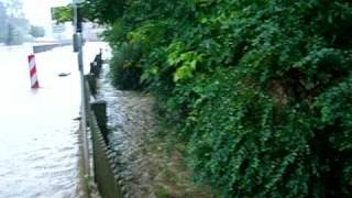 preview picture of video 'Cunewalde Hochwasser 7.8.2010'