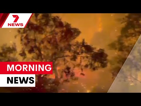 Extreme heatwave and fire danger grips southeast | 7NEWS