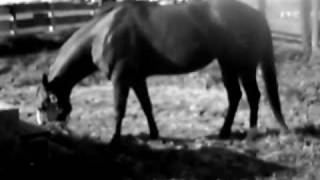 Hayley &amp; Ruby - We Will Never Be Apart