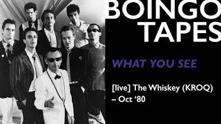 What You See (Live) – Oingo Boingo | The Whiskey (KROQ) 1980
