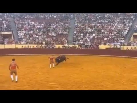 Forcado Manuel Maria Trindade Dies After Bullfight Accident | bullfight video 