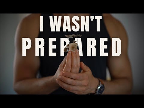 I Did Magic Mushrooms 50+ Times. Here’s What I Learned